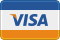 Visa Icon